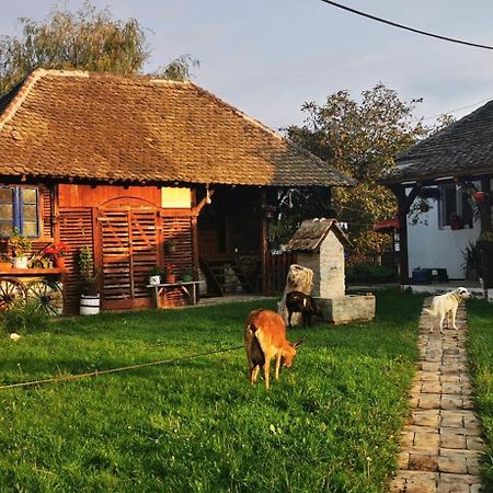 Etno Domacinstvo Miris Bosiljka Apartment Mislodin Bagian luar foto